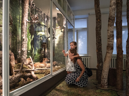 Permanent exhibition, exhibition view. Courtesy of Estonian Natural History Museum