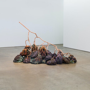 Kathleen Ryan. Courtesy of François Ghebaly