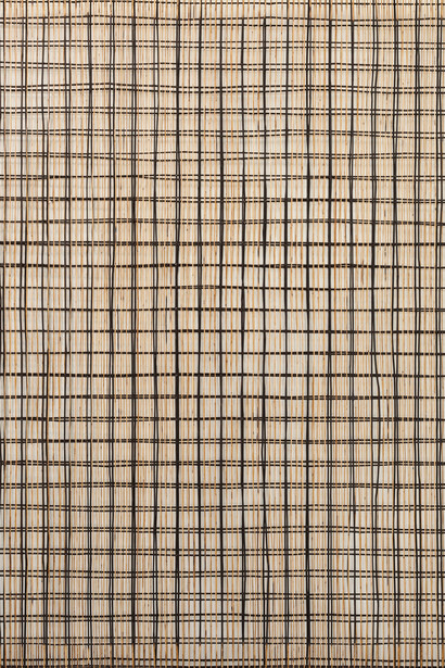 Forest Light, 2015, bamboo, rattan, metal wire. 200 x 251 x 11 cm