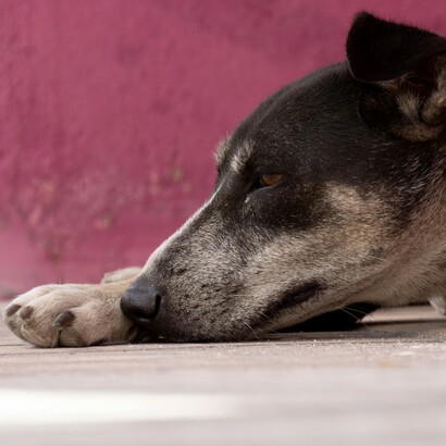 La peur de la solitude rend le sujet avide de sorties, de relations, de contacts, d’activités