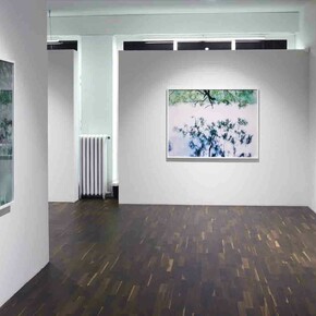 Risaku Suzuki. Courtesy of Christophe Guye Galerie