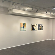 Andrej Savski, Variaciones de la mirada, exhibition view. Courtesy of La Balsa Gallery 