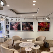 Space Gallery St Barth