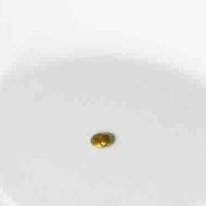 Stéphanie Saadé. Courtesy of Gallery Anne Barrault