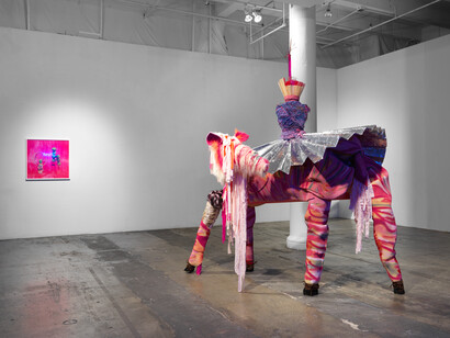 Tamar Ettun "Pink Eat Owl", installation shot. Image courtesy of the artist and Fridman Gallery, New York
