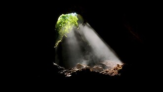 In entrambe le opere, "Cecità" di Saramago e "Edipo" di Sofocle, la cecità non è solo privazione sensoriale ma metafora dell’impossibilità umana di conoscere pienamente sé stessi e il mondo  