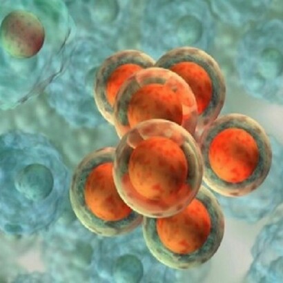 I fattori biologici