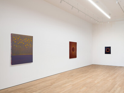 Karen Arm, Night birds, exhibition view. Courtesy of P·P·O·W Gallery