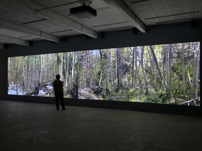 Eija-Liisa Ahtila, On breathing, exhibition view. Courtesy of Marian Goodman Gallery