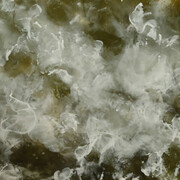 Winston Wächter Fine Art