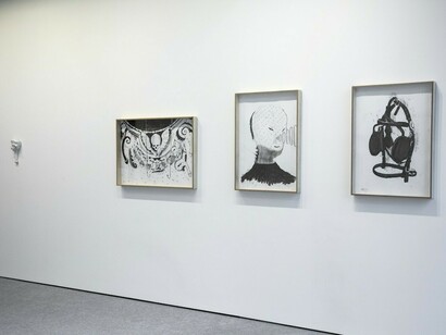 Penis Mushroom, Exhibition view. Courtesy of The Rooster Gallery