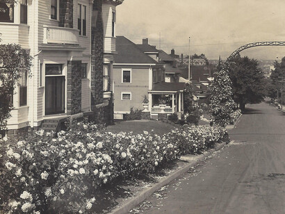 Madame Caroline Testout. Courtesy of Oregon Historical Society