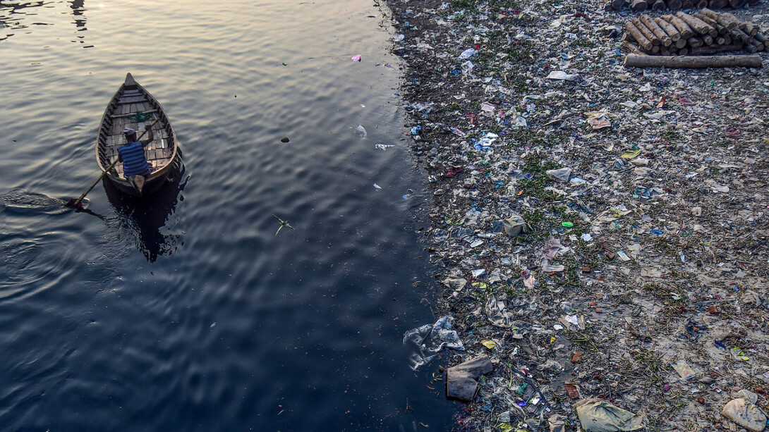 Consider ourselves guests on Planet Earth and stop ecocide