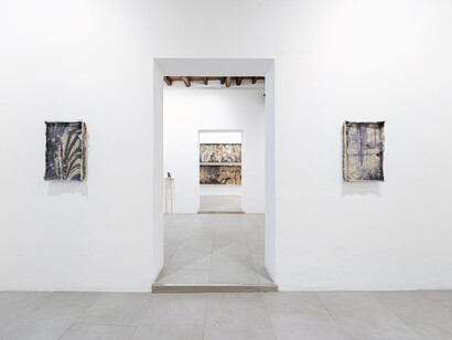 Francesca Polizzi, Lunaria, exhibition view. Courtesy of the Rizzuto Gallery