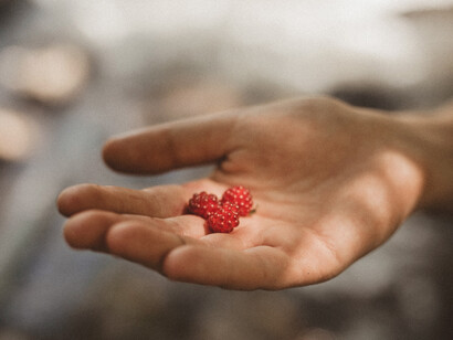 Once you are prepared to apologise, you say “I’m sorry” 