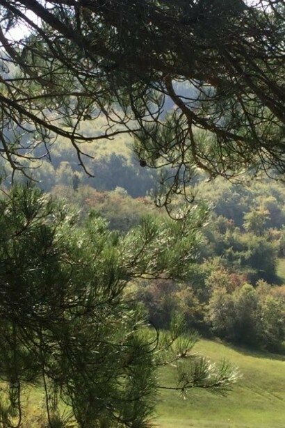 Bosco Appenino Parmense
