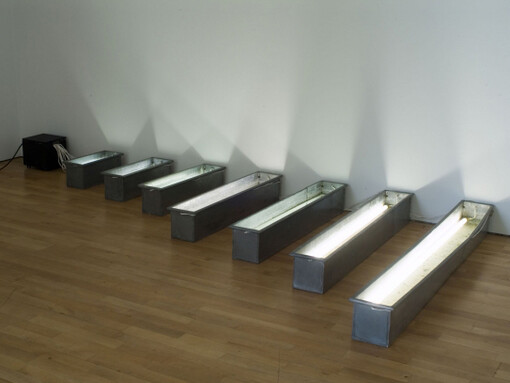 Leo Copers. Courtesy of S.M.A.K.