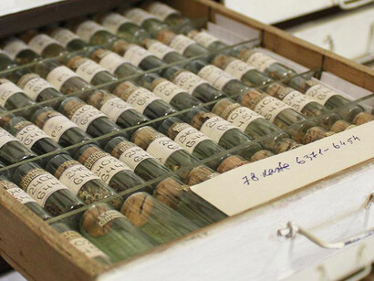 Mineralogy, exhibition view. Courtesy of the Latvian National Museum of Natural History