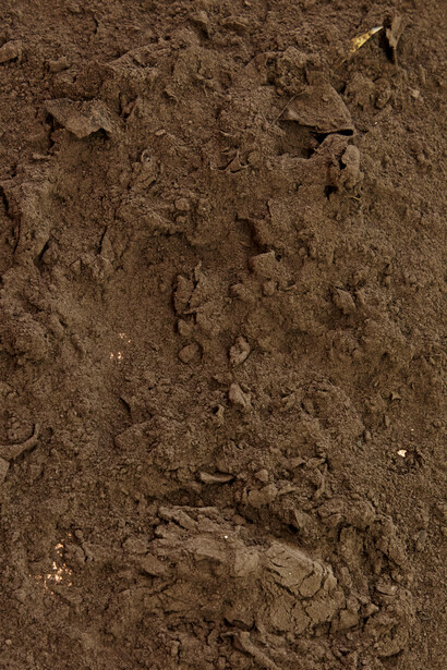 La La Land, at William Benington Gallery, 2019, Photograph by Corey Bartle-Sanderson