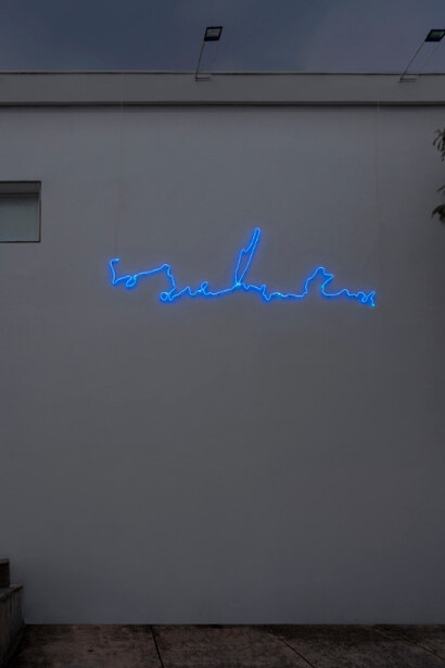 Agnieszka Kurant. Courtesy of Fortes D’Aloia & Gabriel
