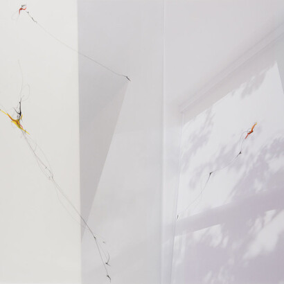 Lineations 2. Courtesy of Yancey Richardson Gallery