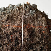 Robert Andrew. Courtesy of IMA