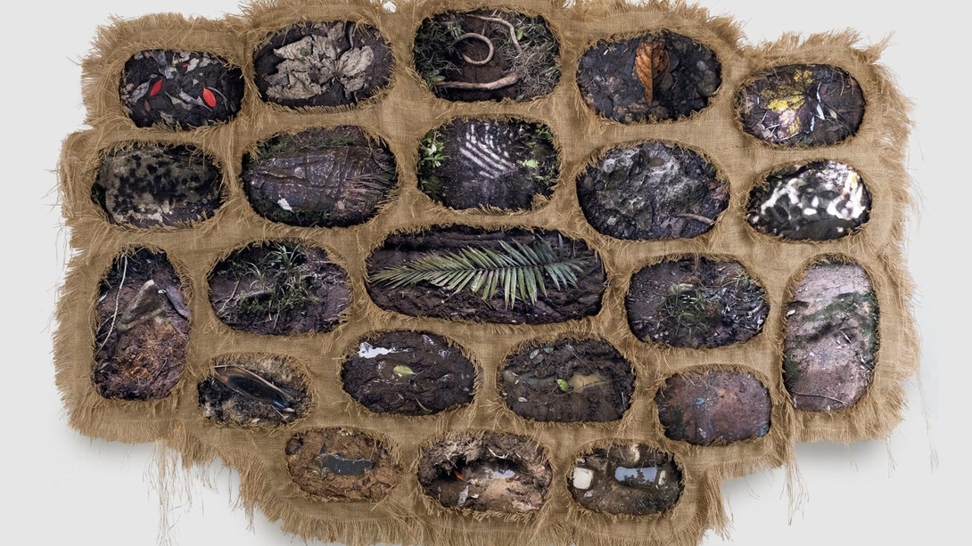 Julián Chams, Colección #4 (Palma, El Yunque), 2023. Courtesy of Koslov Larsen