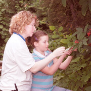 The Northern Forest. Courtesy of Science Nord 