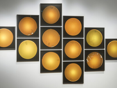 De Ferron à BGL. Courtesy of Musée national des beaux-arts du Québec