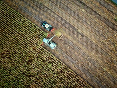 African farming