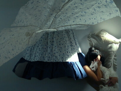 Sleeping Standing