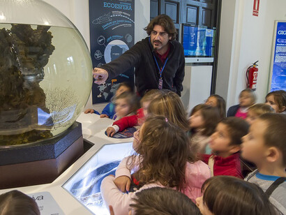 La mar de cetáceos en Andalucía. Courtesy of Casa de la Ciencia