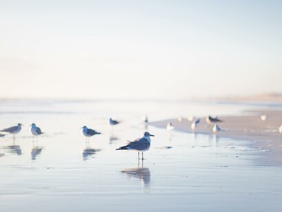 Storie trasportate dal mare. «Dove ha sentito questa storia?» le chiesi.
«Me l’ha portata il mare, come tutte le altre e come tutto ciò che mi ha cresciuta nella vita» rispose lei.
