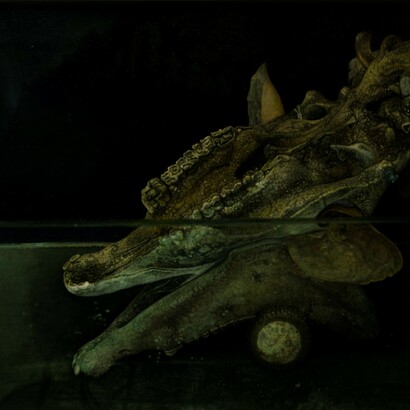 Oscar Giaconia, I-O-I-O, 2020, olio su carta lubrificata in teca di nylon, 69.5 x 97 cm. foto Roberto Ferro. Courtesy the artist and Monitor Rome, Lisbon, Pereto