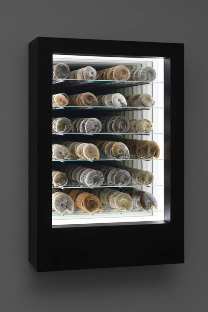 Julian Charrière, Spiral economy, 2025. Mit freundlicher genehmigung von Dittrich & Schlechtriem