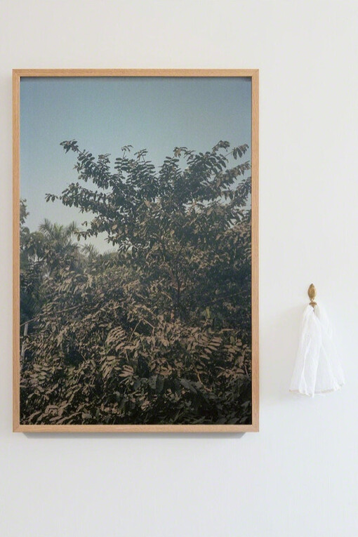 In-between. Courtesy of Blindspot Gallery