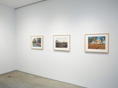 American Landscape. Courtesy of Lehmann Maupin