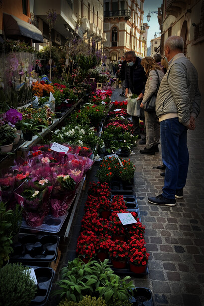 Market