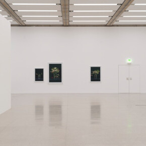 Martin Beck, Exhibition view. Courtesy of Mumok 