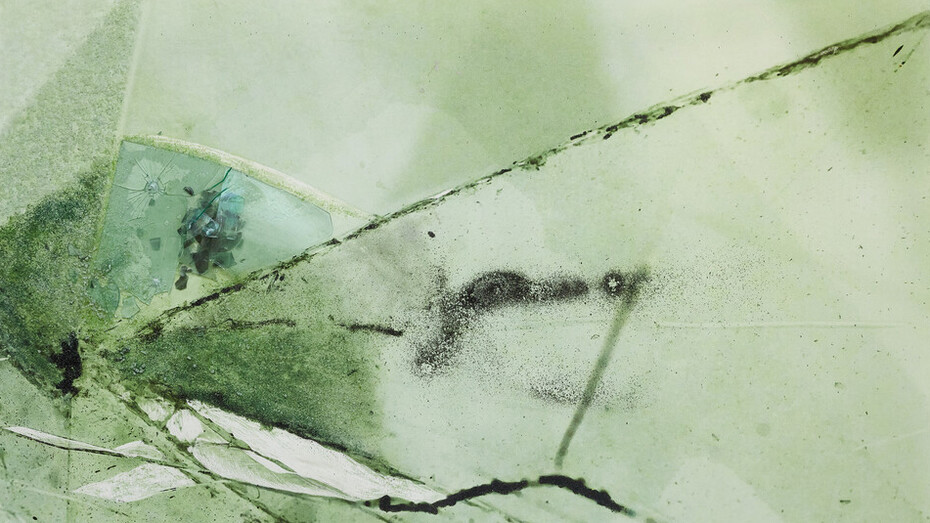 Charisse Pearlina Weston, untitled (swarm, swell), 2024. Courtesy of Patron Gallery