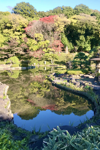 Higo Hosokawa Garden © Alma Reyes