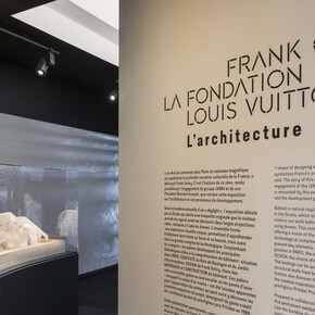 Architectural journey. Courtesy of Fondation Louis Vuitton