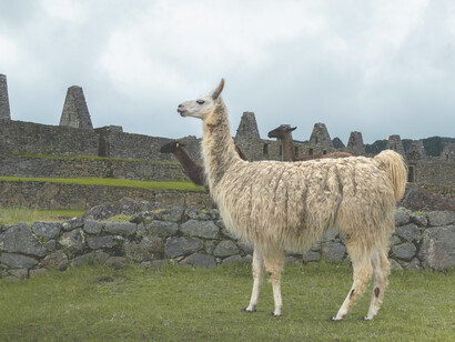 Machu Picchu, Perù. L’esame dei dati disponibili e la ricostruzione di essi hanno rivelato la presenza, al di sotto dell’attuale piazza, di un bacino idrografico poi trasformatosi in cava