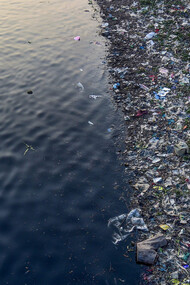Consider ourselves guests on Planet Earth and stop ecocide