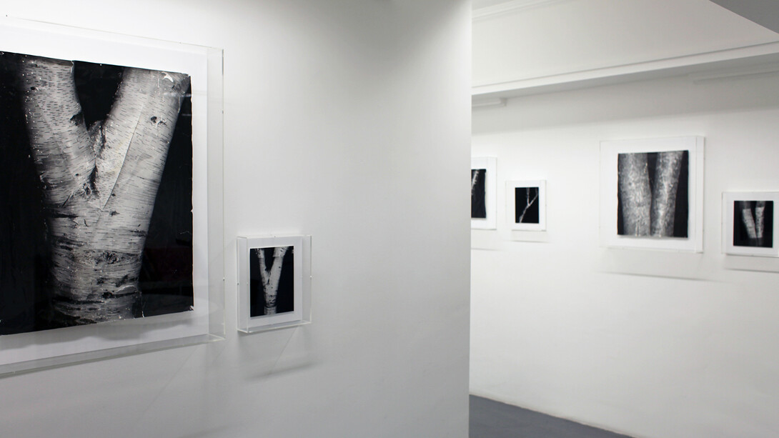 Clare Strand, Getting Better and Worse at the Same Time. Exhibition view