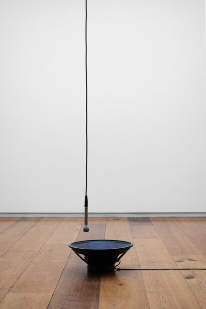 Stephen Vitiello, Frogs in Feedback, 2002, Installation Detail View  