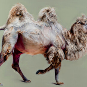 Hugo Wilson, Bactrian II, 2025. Courtesy of Nicodim Gallery