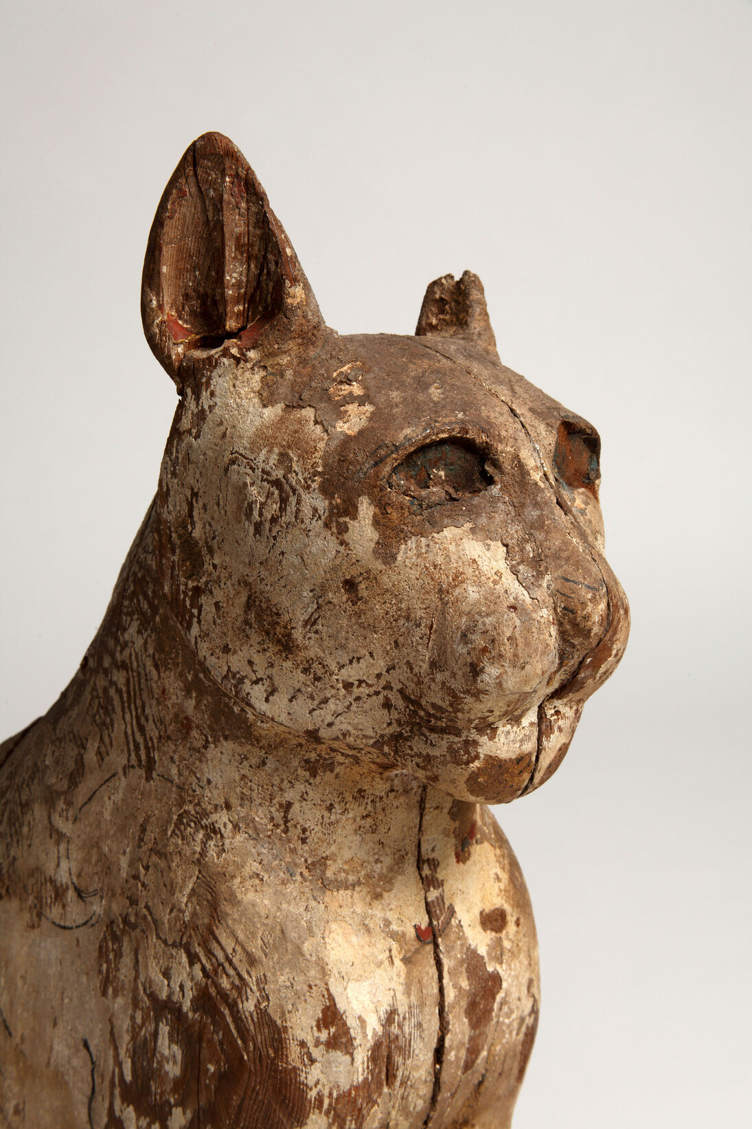 Cat Mummy 1, Manchester Museum, The University of Manchester © Alan Seabright