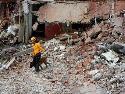 Buscando supervivientes