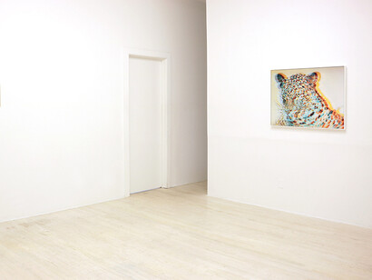 Paradise Window. Courtesy of Halsey McKay Gallery